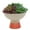 BEIGE/CRM, variant on Artificial Succulent Mix in Two Tone Gray/Beige Ceramic Bowl Planter