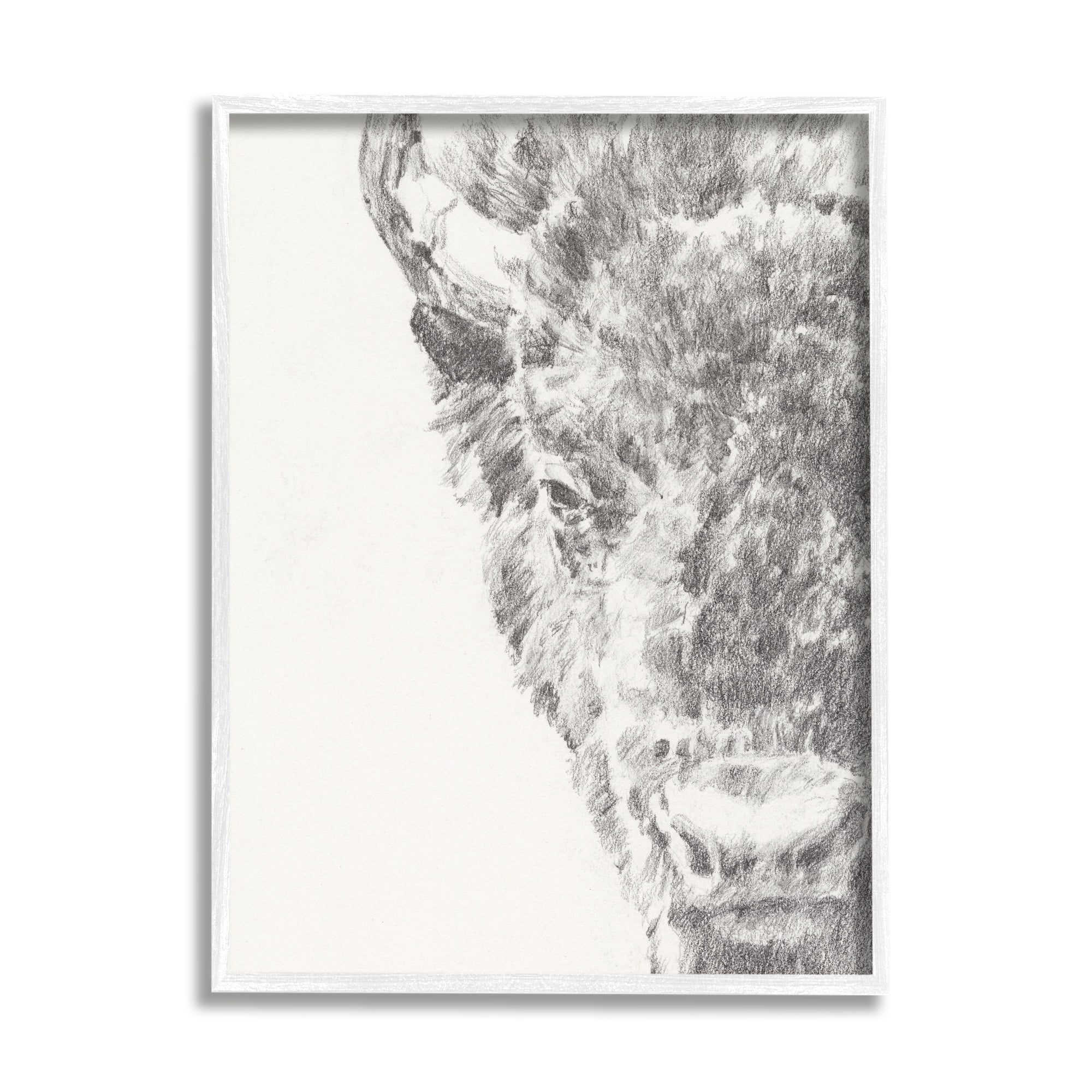 Stupell Industries Detailed Graphite Bison Rural Farm Animal Drawing Drawing Print White Framed Art Print Wall Art, Design by Ethan Harper