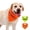 B, variant on High Quality Safety Reflective Dog Triangle Scarf - Adjustable Pet Bandana for Nighttime Visibility