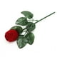 thumbnail image 1 of Pendientes de joyería de rosa roja Pendientes sorprendentes de regalo Suministros propuestos Suministros Caja de anillo portátil Boda de compromiso con hoja verde Vogacara AP004500-00, 1 of 7