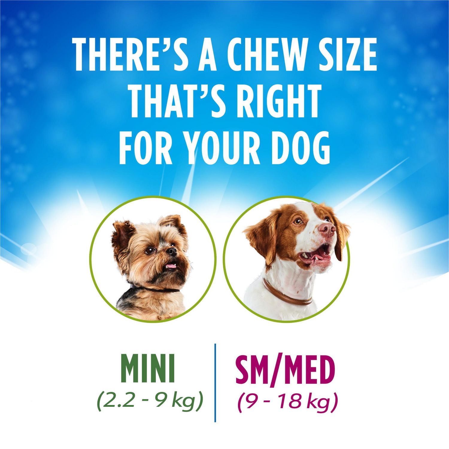 DentaLife ActivFresh Moyennes Gâteries à Mâcher pour Soins Buccodentaires Quotidiens