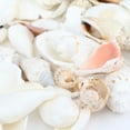 thumbnail image 1 of 200g/pack Natural Beach Shell&Conch SeaShells Aquarium Fish Tank Landscaping fish tank Decoration, 1 of 7
