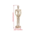 thumbnail image 3 of BQLZR 8 inch Joints Wooden Mannequin Toy Perfect For Drawing the Human Figure Painting, 3 of 5