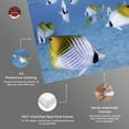 thumbnail image 4 of David Fleetham-Treadfin Butterflyfish Under Sea Real Life Photography Canvas Wall Art by Notoriart, Gallery Wrapped, 45"x30", 4 of 7