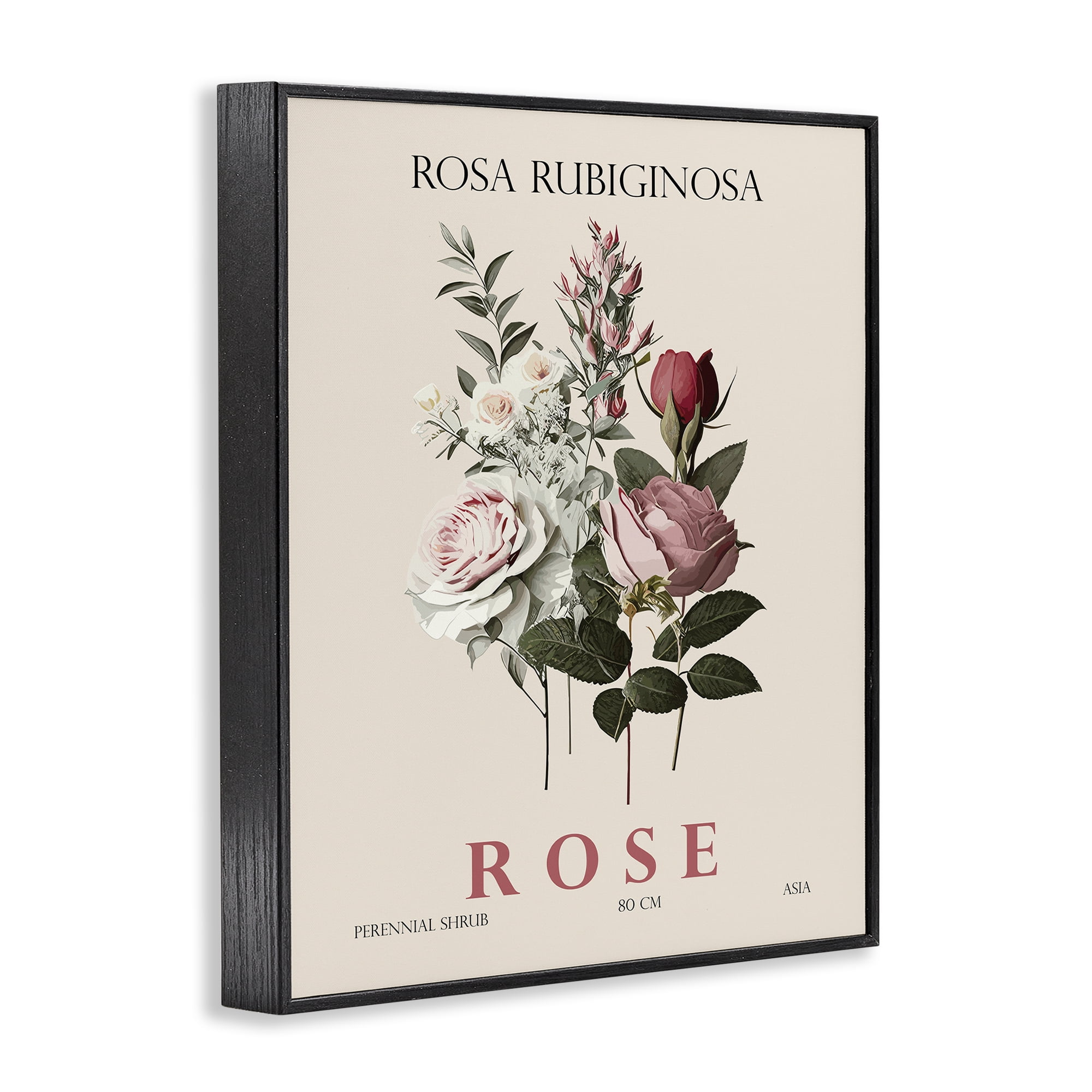 Stupell Industries Natural Rose Bundle Black Framed Giclee Art, design by Christopher Giampietro