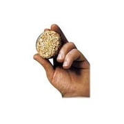 Bradley Flavor Bisquettes - Hickory 24Pk