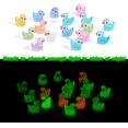 thumbnail image 4 of 1set 100pcs Luminous Tiny Ducks Mini Resin Duck Colorful Miniature Fairy Garden Mini Duck for Miniature Landscape Tabletop Home Potted Plants Decor Mixed color 7.5x12x16.5mm, 4 of 7