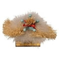 thumbnail image 5 of Hollywood Nutcrackers 17 in. Cowardly Lion Nutcracker, 5 of 6