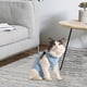 thumbnail image 1 of Traje de recuperación de gatos Fernando Traje de recuperación, 1 of 8