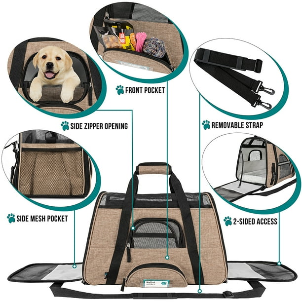 Skysmart pet carrier sale