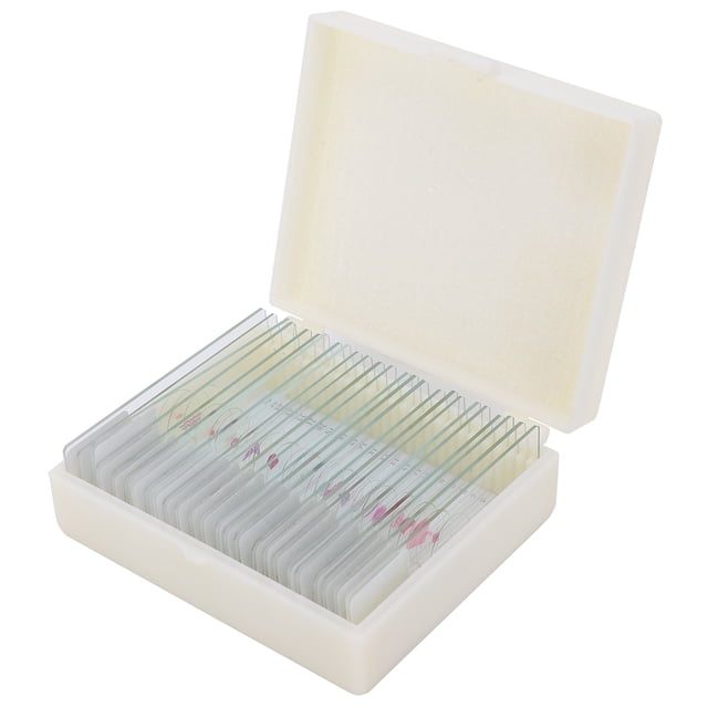 Glissière de Microscope, Dw25 25Pcs Outil d'Expérimentation de Glissières Biologiques Innovation Moderne
