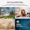 thumbnail image 4 of HEPA Replacement Filters for APH3000/AP300 Air Purifier, 2 Pack, H13 True HEPA & Activated Carbon Filter, 99.97% Captures Smoke, Odors, Dust, Pet Dander & Airborne Particles for Home Air Purification, 4 of 7