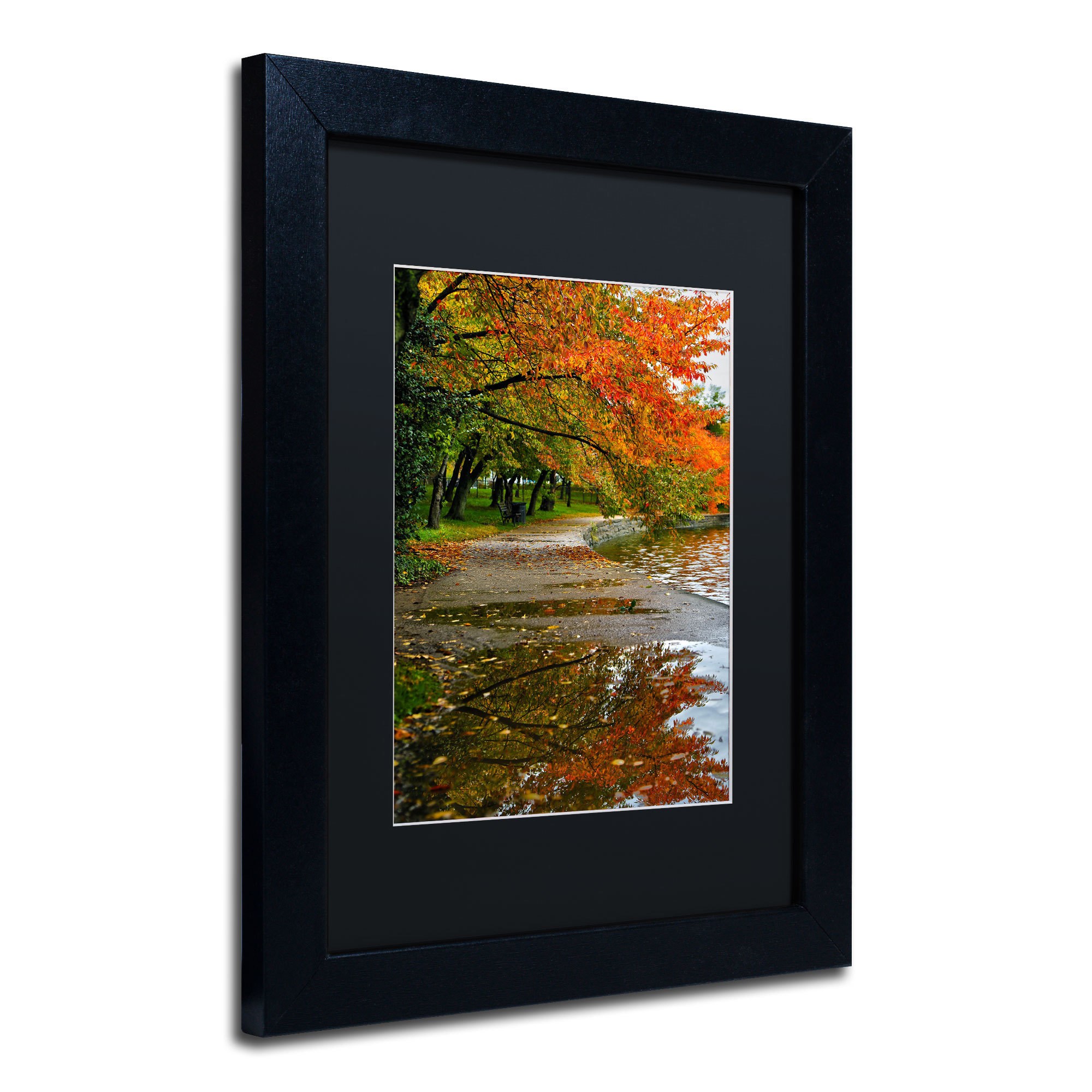 Trademark Fine Art "Tidal Basin Autumn 1" Canvas Art by CATeyes, Black Matte, Black Frame