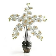 Nearly Natural Phalaenopsis Liquid Illusion