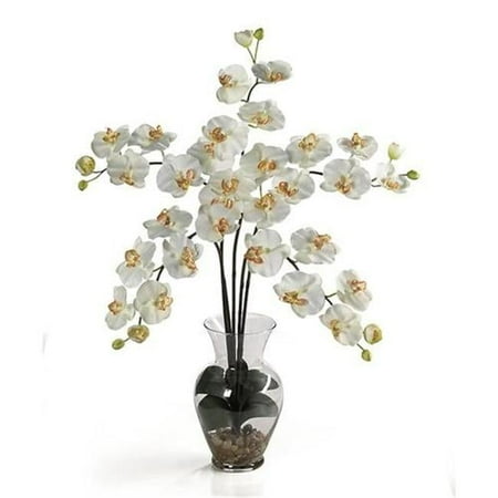 Nearly Natural Phalaenopsis Liquid Illusion