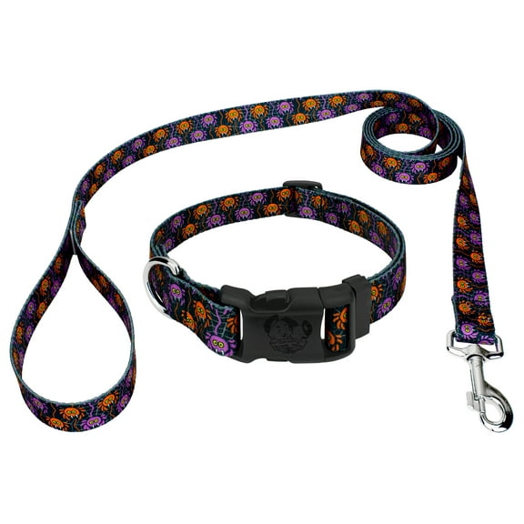 Country Brook Petz® Deluxe Creepy Crawlers Dog Collar and Leash Limited Edition, Extra Small