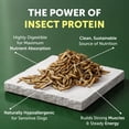 thumbnail image 3 of Nature's Protection Superior Care Dry Dog Food, Adult Small White Coat Dogs, Grain-Free Insect, 22lb, 3 of 9