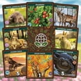 thumbnail image 4 of Keystone North America Deluxe Edition Strategy Board Game - Become A Biologist & Build Ecosystems, 1-4 Players, 4 of 9