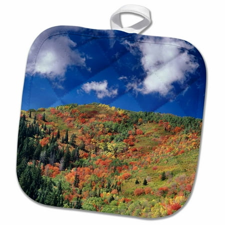 

3dRose Autumn Kimball Junction Park City Utah USA - US45 HGA0425 - Howie Garber - Pot Holder 8 by 8-inch