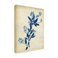 thumbnail image 2 of Trademark Fine Art 'Indigo Leaf Study I' Canvas Art by Vision Studio, 2 of 4