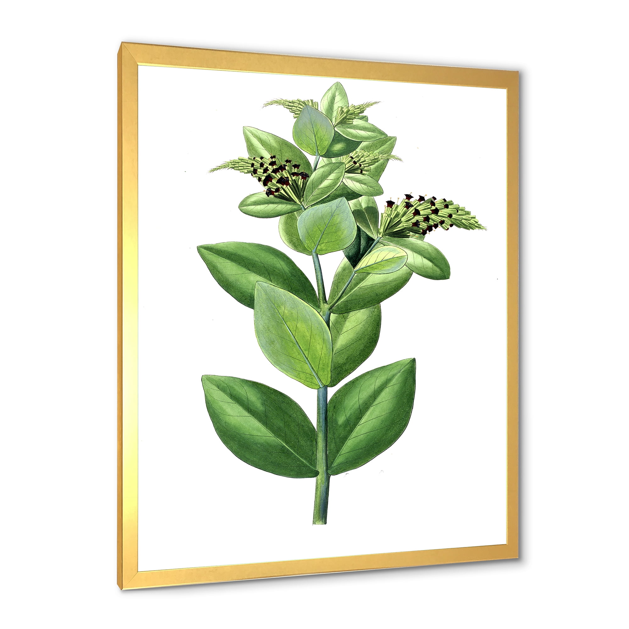 Designart 'Ancient Green Leaves Plants VI' Traditional Framed Art Print