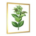 thumbnail image 2 of Designart 'Ancient Green Leaves Plants VI' Traditional Framed Art Print, 2 of 4