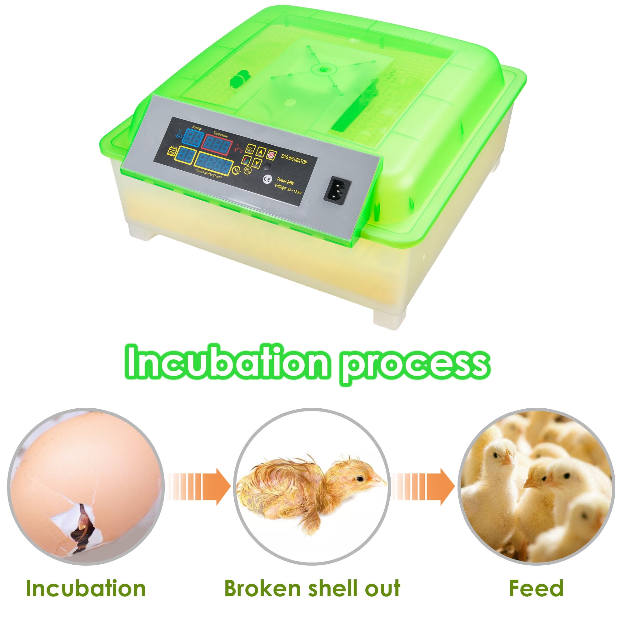 Digital Clear Egg Incubator Hatcher Automatic Egg Turning Temperature Control US 