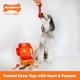 thumbnail image 2 of Caja de regalo Nylabone para perros grandes con 3 juguetes para masticar y golosinas, 2 of 9