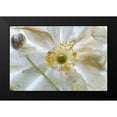 thumbnail image 2 of Disher, Mandy 18x13 Black Modern Framed Museum Art Print Titled - Floral Freeze, 2 of 5