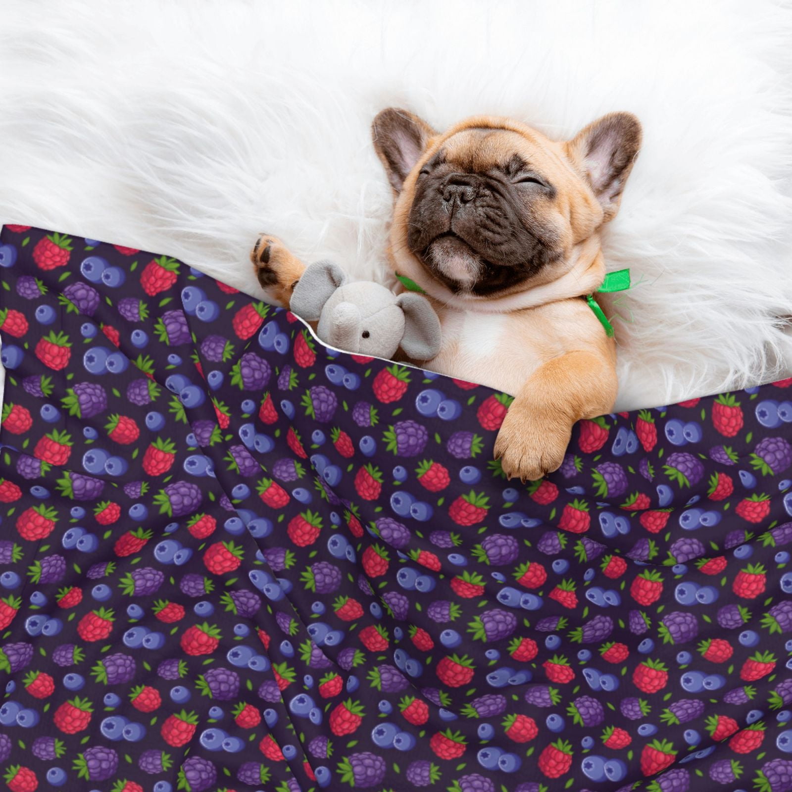 Naloa Blackberries Dog Blanket, 3 Sizes Cat Blanket for Indoor Cats Large Medium Small Dog Gifts-Small