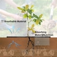thumbnail image 3 of Tutuviw 4 Pack Reusable Tree Mulch Ring, 24.4in Non-Woven Tree Protector Mat, Plant Root Protection, Tree Ring Weed Fabric Cover with 16 Pcs Stakes Staples for Landscape Control, 3 of 7