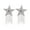 Silver, variant on Womens Pentagrams Tassels Nipple Covers Adhesive Pasties Rave Breast Petals