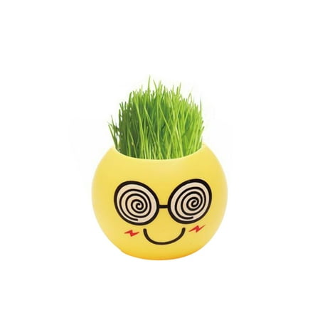 

Ximi Cute Plastic Pot Mini Emoji DIY Grass Planting Home Desktop Window Flowerpot