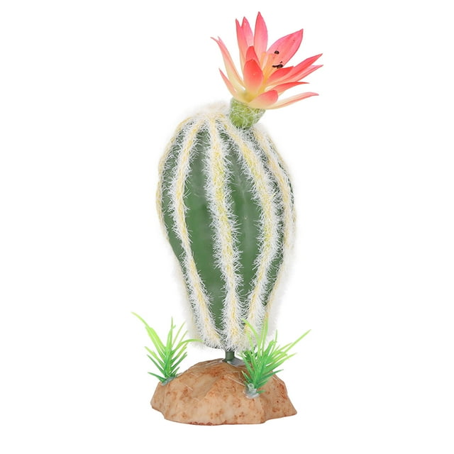 Plante de Cactus Reptile, Simulation Ornement d'Aquarium Résistant à la Décoloration pour l'Eau de Mer pour Terrarium
