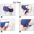thumbnail image 3 of After Surgery Dog Recovery Suit Female/Male Collar Alternative, 3 of 4