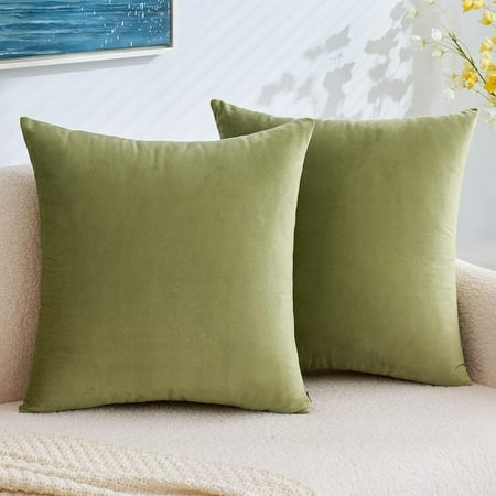 

EMEMA Pack of 2 Velvet Pillow Covers Decorative Square Pillowcase Soft Solid Cushion Case for Sofa Bedroom Car 16x16 Inch Sage Green