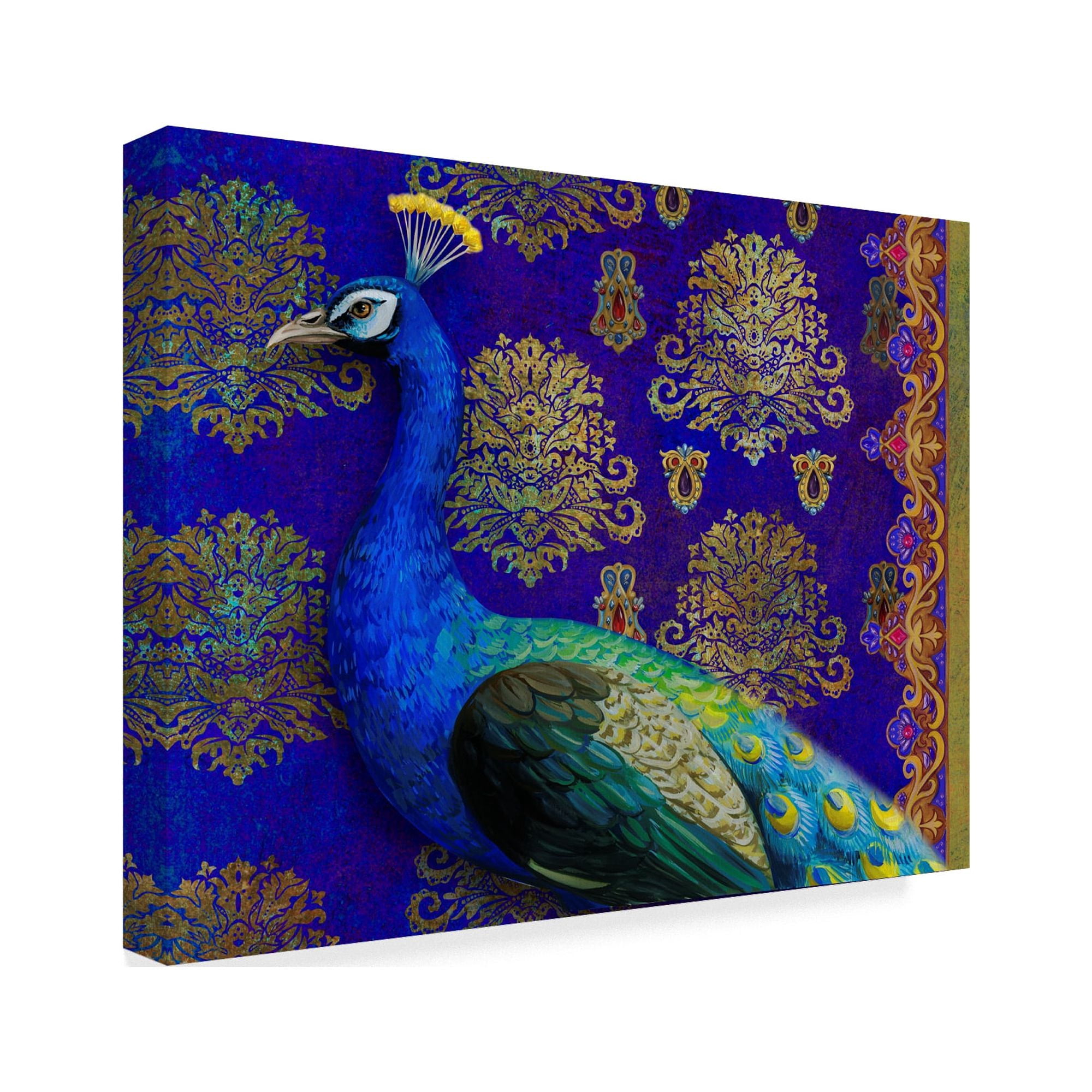 Trademark Fine Art 'Indian Peacock' Canvas Art by Maria Rytova