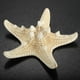 thumbnail image 4 of 12 estrellas de mar anudadas de 5 a 7 cm, decoración artesanal para exhibición de bodas en la playa, 4 of 4