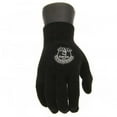 thumbnail image 2 of Everton FC - Gants - Enfant, 2 of 3