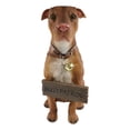 thumbnail image 6 of Ebros Lifelike American Pit Bull Pet Dog Statue W/ Jingle Collar And Sign 13" H, 6 of 9