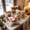 D, variant on 4 Pcs Christmas Decorative Throw Pillow Covers, Embossed Holiday Cushion Slipcovers With Hidden Zipper, Xmas Pillow Cases for Sofa Couch Indoor Home Decor