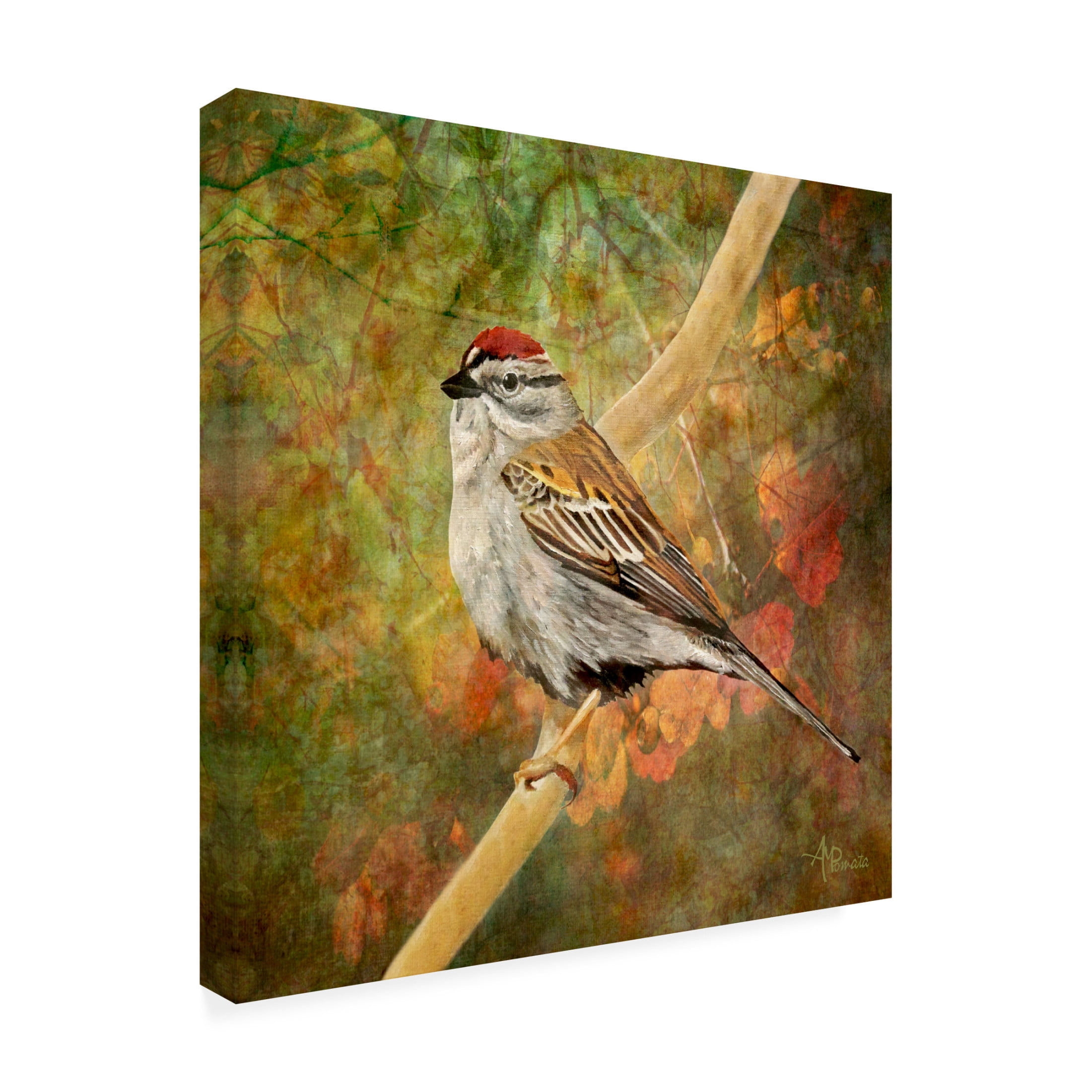 Canvas Wall Art - Angeles M. Pomata 'Immersed In The Forest' Wall Art for Living Room, Bedroom, or Office Décor by Trademark Fine Art - 24 x 24 Inches