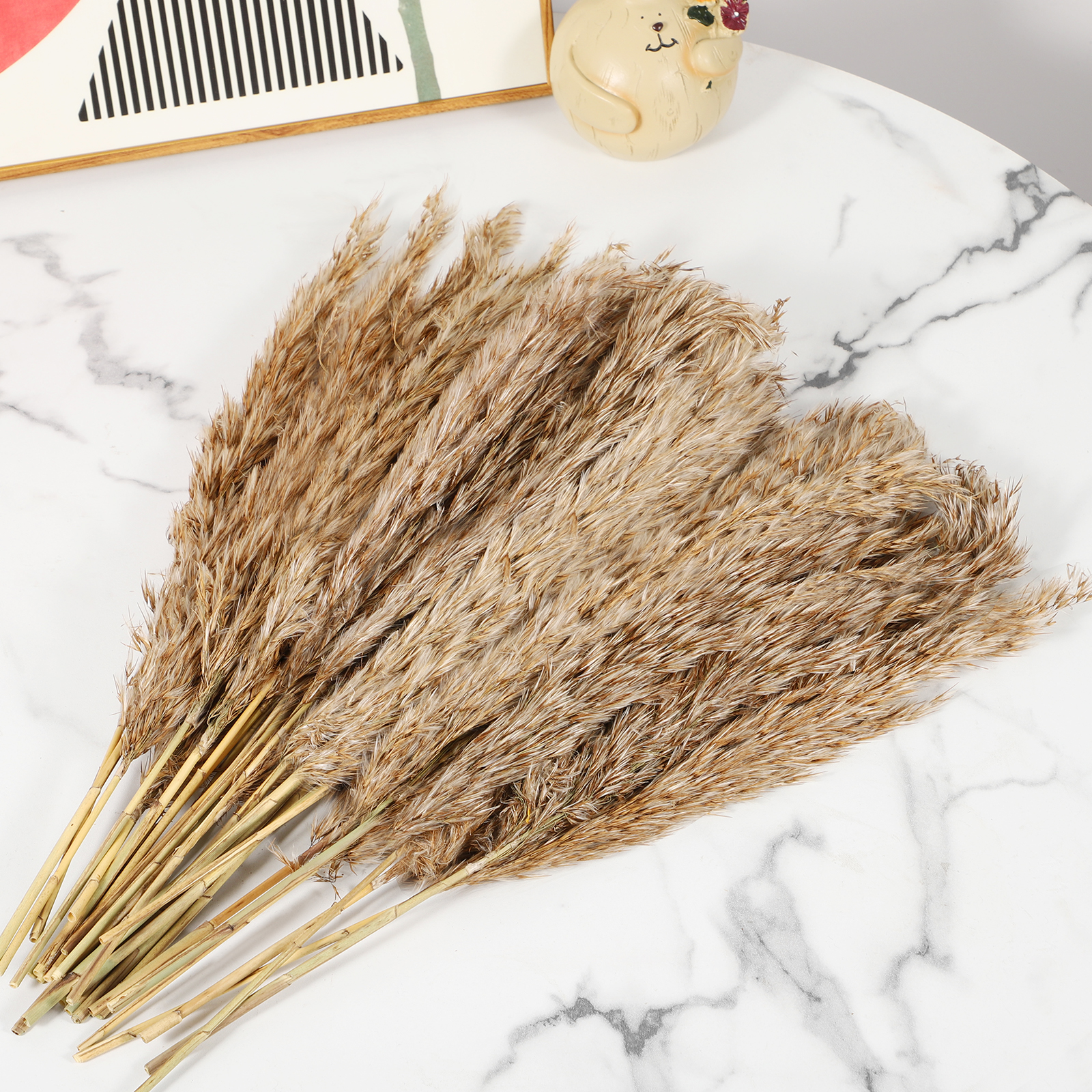 30 Pcs Natural Dried Pampas Grass Decor Brown Bouquet Dried Flowers