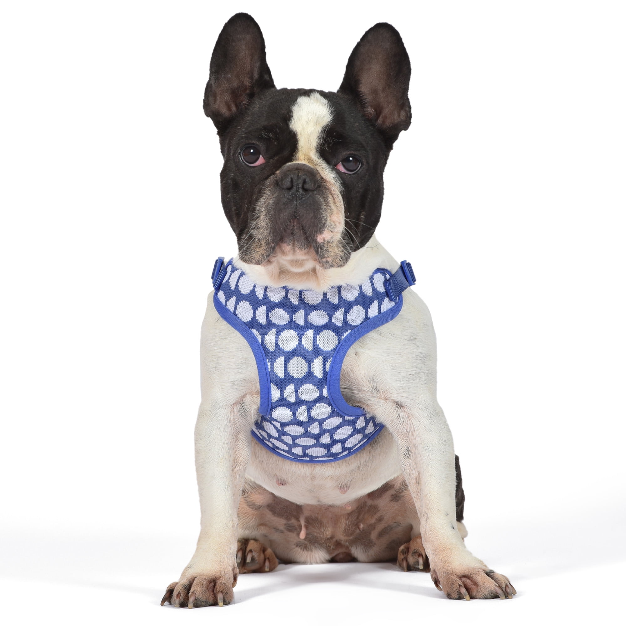 The Dodo Step-in Style Pet Harness, Blue Dodo Print, Small