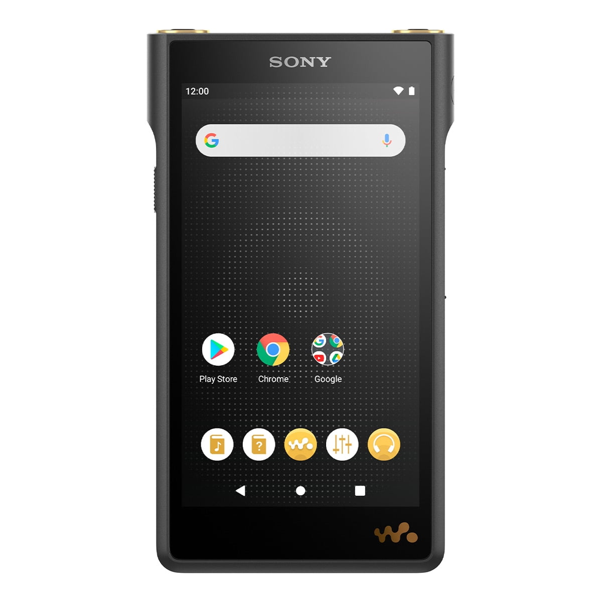 Sony Portable Bluetooth NW-WM1AM2 128GB Walkman Digital Music