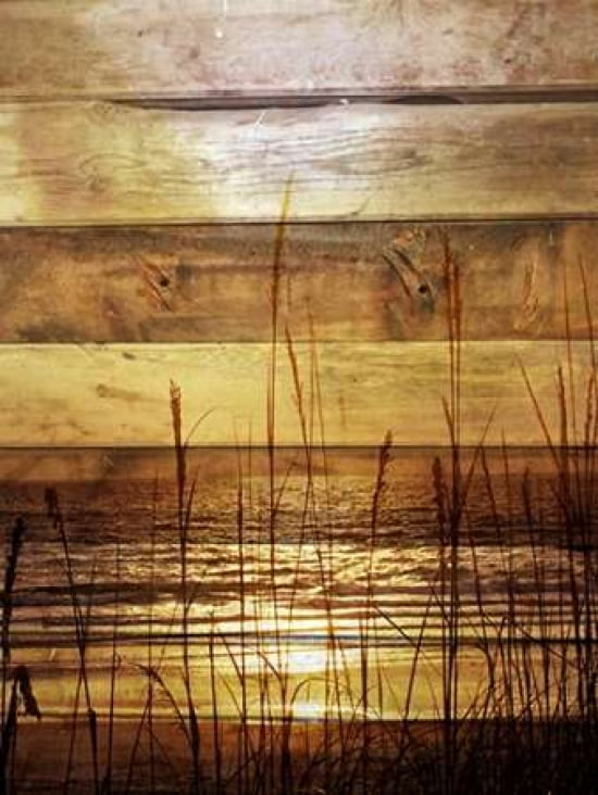 By The Grass Sunset Wood Canvas Art - Gail Peck ()