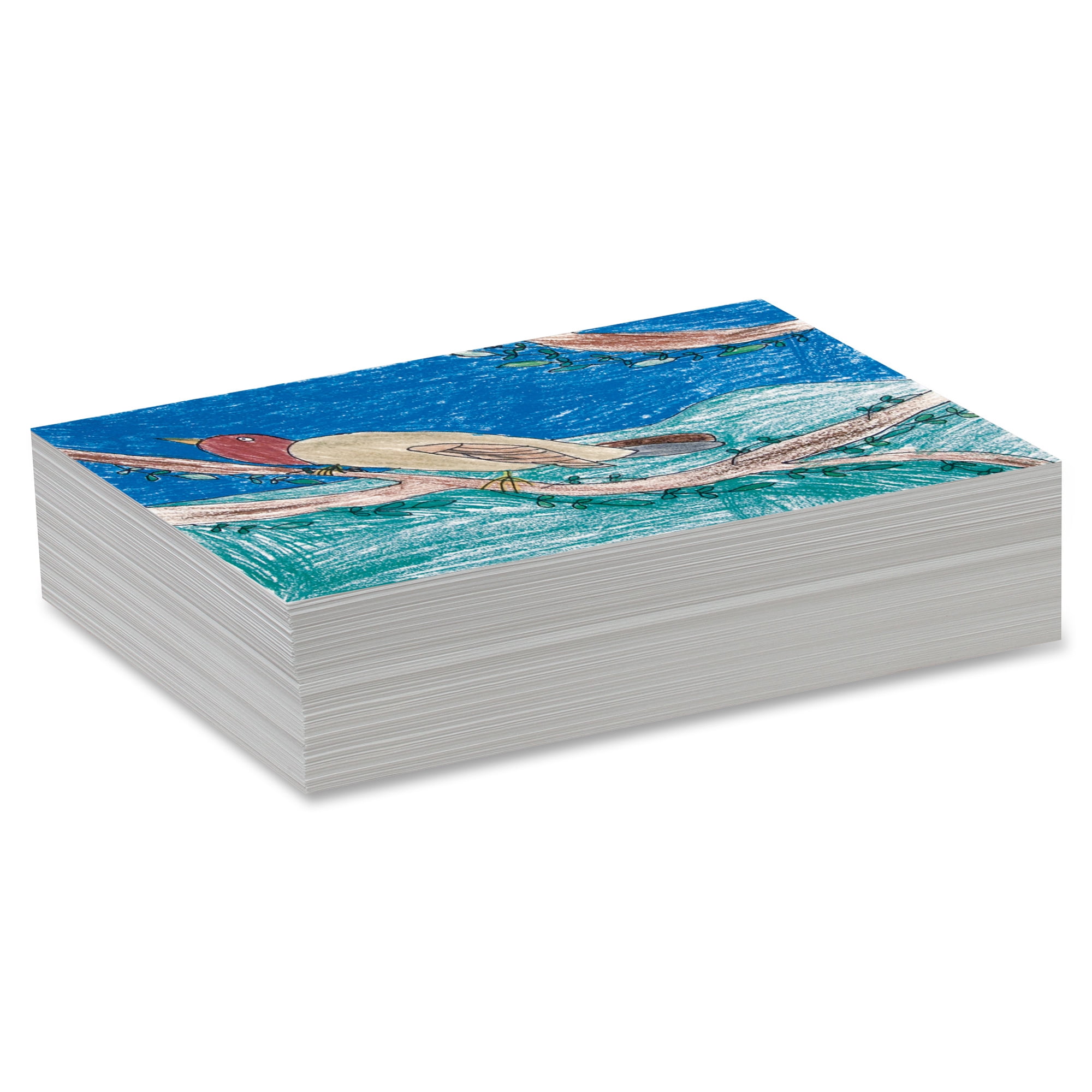 Buy Bright White Sulphite Drawing Paper, 12 x 18, 50 lb at S&S Worldwide