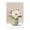 Peach Vase Floral Bouquet, variant on Stupell Industries Mixed White Flowers Plants & Flowers Painting Wrapped Canvas Art Print Wall Art, 16 x 24