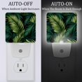 thumbnail image 2 of Tropical jungle palm fronds LED Square Night Light for Bedroom and Bathroom - Energy Efficient and Bluetooth Compatible - 200 Characters, 2 of 6