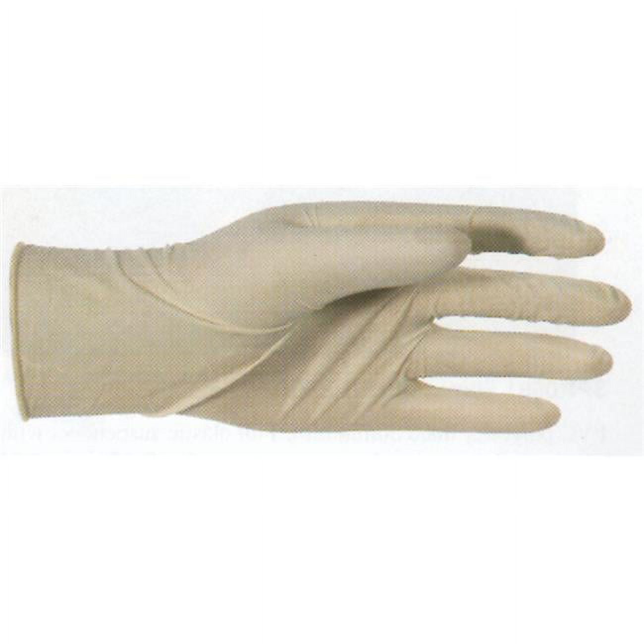 Boss Gloves Disposable Latex Gloves, 10pk